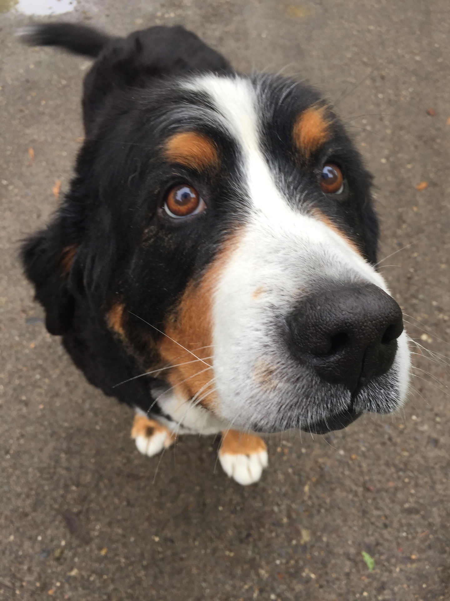 ６月２１日 火 マジか 釧路で通り魔 イオン ジャスコ で殺人事件 犬 と バイク ｚ １４ｒ とたまあにマラソン