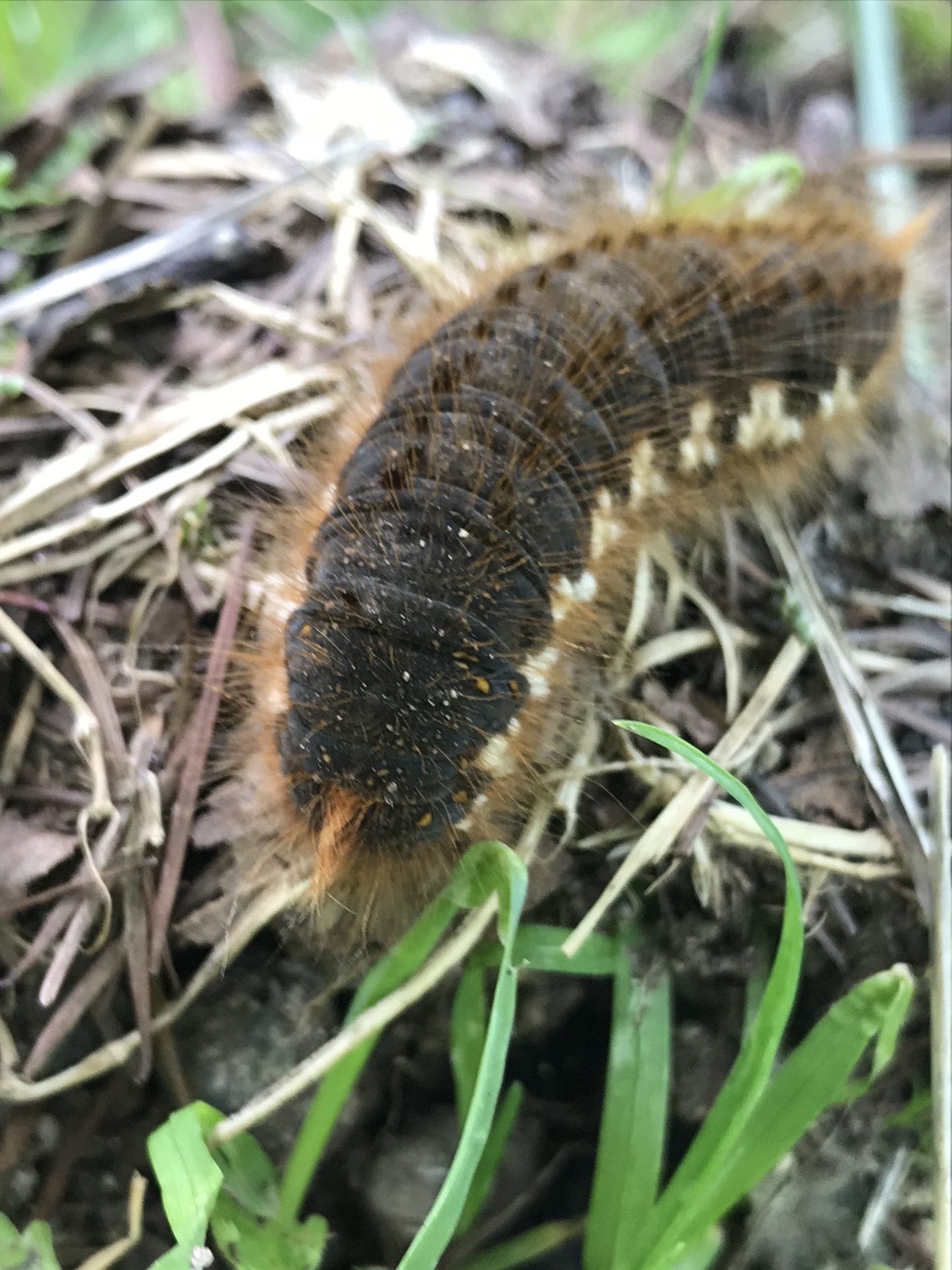 2018.7.24（火） ピレリ・ロッソⅡ タイヤの皮むきツーリング！ by ZX
